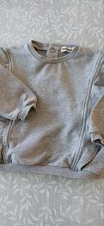 Grijse trui Sweet Petit maat 80, Ophalen of Verzenden, Zo goed als nieuw, Meisje, Truitje of Vestje