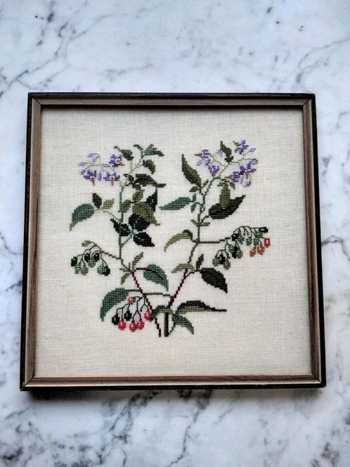 Vintage botanisch borduursel plant Bitterzoet, Huis en Inrichting, Woonaccessoires | Wanddecoraties, Zo goed als nieuw, Verzenden