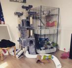 Fretten for everhome en of vakantieadres, December, Geslacht onbekend, Fret