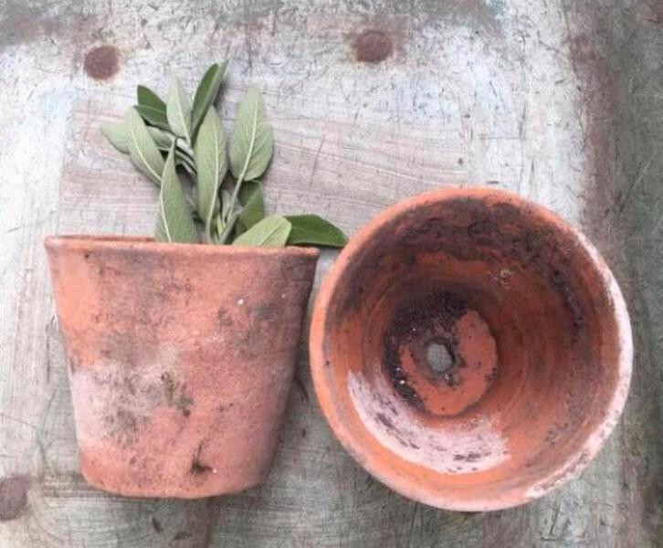 Diverse terracotta bloempotten stevige oude potten, Tuin en Terras, Bloempotten, Zo goed als nieuw, Terracotta, Binnen, Balkon