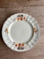 9 Societé Ceramique Maastricht borden - Viooltjes decor 618, Gebruikt, Keramiek, Ophalen of Verzenden, Bord(en)