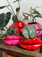 Luxe plant met lippen pot, Huis en Inrichting, Kamerplanten, Ophalen of Verzenden