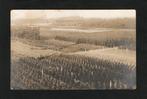 Naarden Kwekerij Jac Smits Heesters Fotokaart., Verzamelen, Ophalen of Verzenden, 1920 tot 1940, Ongelopen, Noord-Holland