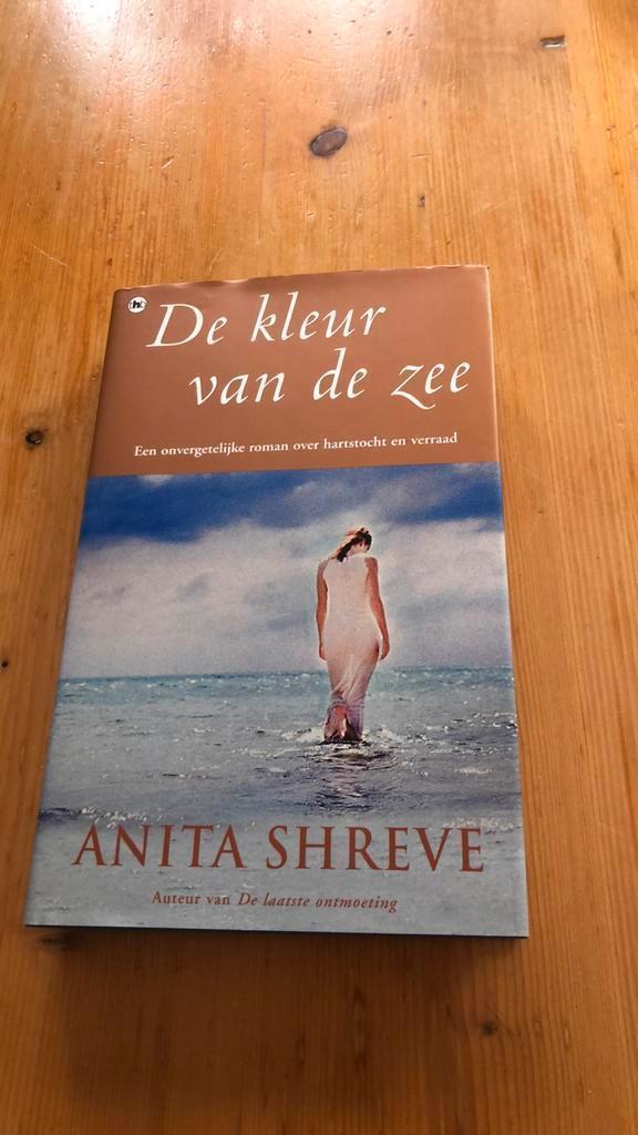De kleur van de zee - Anita Shreve, Boeken, Romans, Nieuw, Nederland, Ophalen of Verzenden