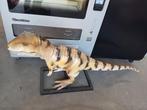 Dino deur is decoratie beeld 140 cm, Verzamelen, Ophalen, Nieuw, Dier