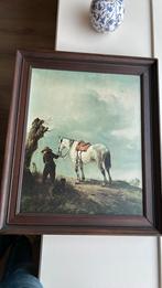 De schimmel, Ophalen of Verzenden