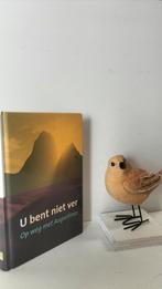 Augustinus, U bent niet ver, Boeken, Godsdienst en Theologie, Ophalen of Verzenden, Gelezen, Christendom | Protestants