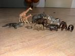 Schleich Wilde Dieren Set, Ophalen of Verzenden, Zo goed als nieuw, Wild dier, Beeldje of Figuurtje