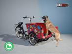Elektrische Babboe Big hondenbakfiets met certificaat, Fietsen en Brommers, Gebruikt, Info@fietsfabriek.nl, Fietsfabriek BV, 2 kinderen