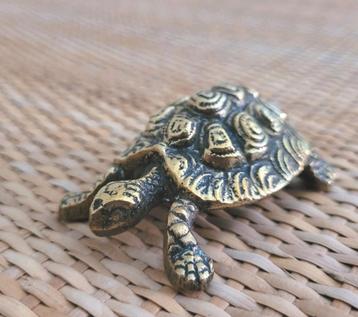 Messing schildpad beschikbaar voor biedingen