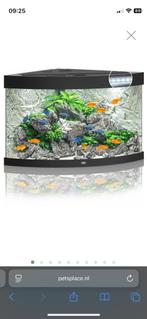 Leeg hoekaquarium 60x60 incl. alle toebehoren, Dieren en Toebehoren, Vissen | Aquaria en Toebehoren, Ophalen, Gebruikt, Leeg aquarium