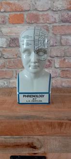 L.N Fowler:30cm Frenologie Studie Hoofd ♥️NIEUW♥️, Ophalen of Verzenden, Nieuw, Overige typen