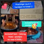 Handpan zgan - Ophalen in de Achterhoek, Muziek en Instrumenten, Overige Muziek en Instrumenten, Ophalen of Verzenden