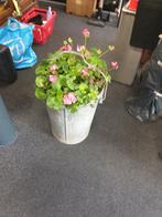 Tekoop   zinke vuilnisbak met plant, Ophalen, Gebruikt, Rond