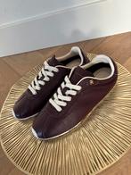 Burgundy/bruine gympen Tommy hilfiger, Ophalen of Verzenden, Rood, Sneakers of Gympen, Zo goed als nieuw