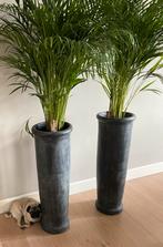 2 stuks - Hoge pot voor plant, Huis en Inrichting, Woonaccessoires | Vazen, Ophalen, Overige materialen, Overige kleuren, Zo goed als nieuw