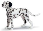 Schleich 16346 dalmatiër, dierfiguur, Verzamelen, Ophalen of Verzenden, Gebruikt, Hond of Kat, Beeldje of Figuurtje