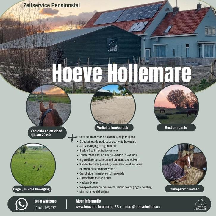 Stal vrij op kleinschalige pensionstal in Zwartewaal, Dieren en Toebehoren, Stalling en Weidegang, Stalling, Weidegang, Toebehoren