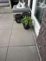 Ca 24m2 grijze betonnen tegel 60x60x6 tuin terrastegel, Tuin en Terras, Tegels en Klinkers, Ophalen, Gebruikt, 10 m² of meer, Beton