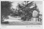 Winterswijk weg  naar Barlo met Groote Steen., Verzamelen, Ansichtkaarten | Nederland, Ophalen of Verzenden, 1940 tot 1960, Gelopen