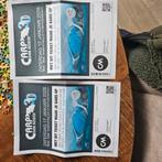 2 kaarten Carp Den Bosch 2026, Tickets en Kaartjes, Twee personen