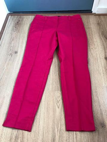 Claudia strater fuchsia roze broek 42 beschikbaar voor biedingen