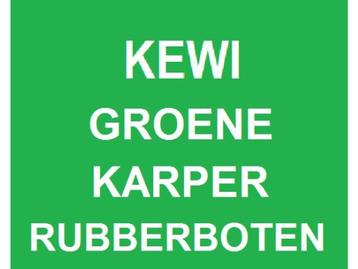 KARPERBOOT HONG HAI HD X-WIDE 240 LANG GROEN € 895, beschikbaar voor biedingen
