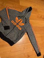 Adidas Vest Maat L - Mooi!, Ophalen of Verzenden, Zo goed als nieuw, Grijs