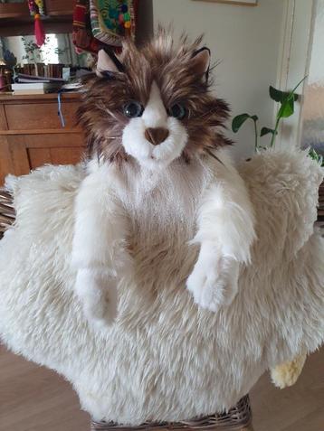 Knuffelpoes beschikbaar voor biedingen