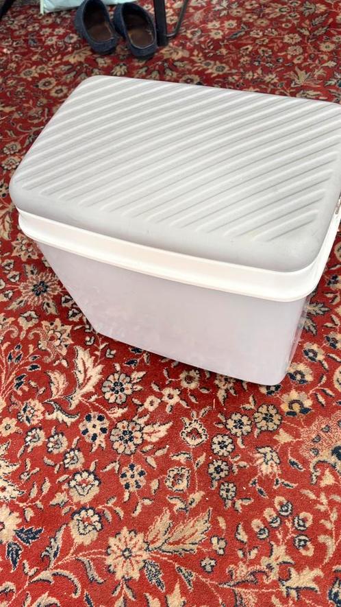 Koelbox, Caravans en Kamperen, Koelboxen, Nieuw, Elektrisch, Ophalen of Verzenden