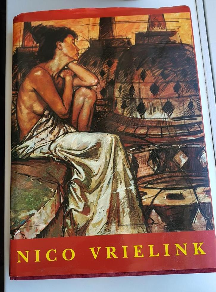 Nico Vrielink Kunstboek Full Colour Foto's & Reizen , Antiek en Kunst, Kunst | Tekeningen en Foto's, Ophalen of Verzenden