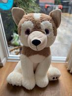 Knuffel Husky, Kinderen en Baby's, Speelgoed | Knuffels en Pluche, Ophalen, Zo goed als nieuw, Overige typen