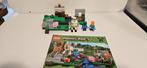 LEGO 21123 Minecraft The Iron Golem compleet met minifigs, Kinderen en Baby's, Speelgoed | Duplo en Lego, Complete set, Ophalen of Verzenden