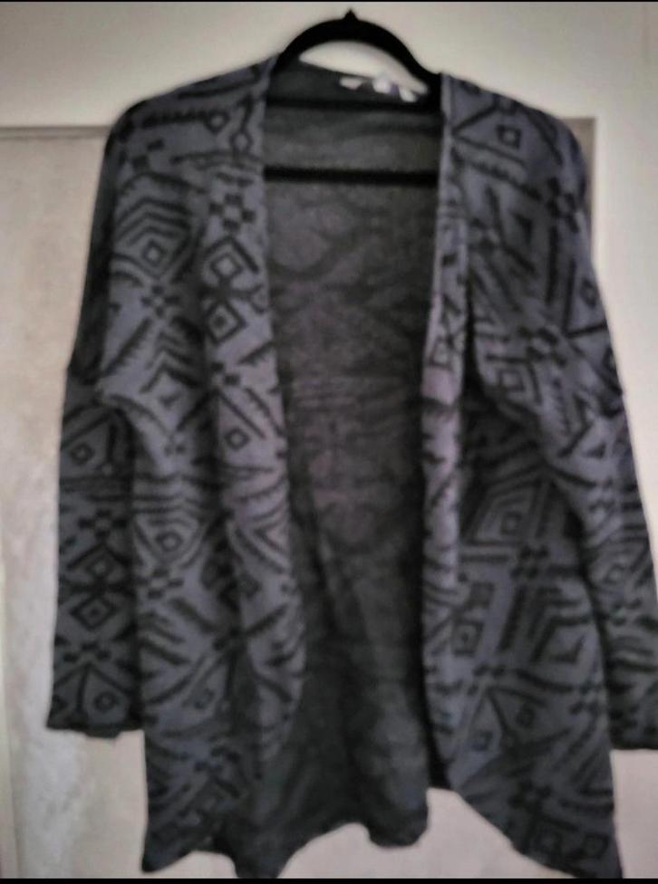 Leuk grijs vest met motief - Maat XS, Kleding | Dames, Truien en Vesten, Gedragen, Maat 34 (XS) of kleiner, Grijs, Ophalen of Verzenden
