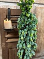 Brynxz hop hanger, Binnen, ., Nieuw, Ophalen of Verzenden