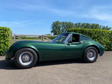 Pontiac Kellison - Targa - 1973 - Zeldzaam en uniek! beschikbaar voor biedingen