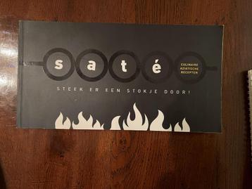 Sate Steek er een stokje door : Michiel Postma Wouter Cornel beschikbaar voor biedingen