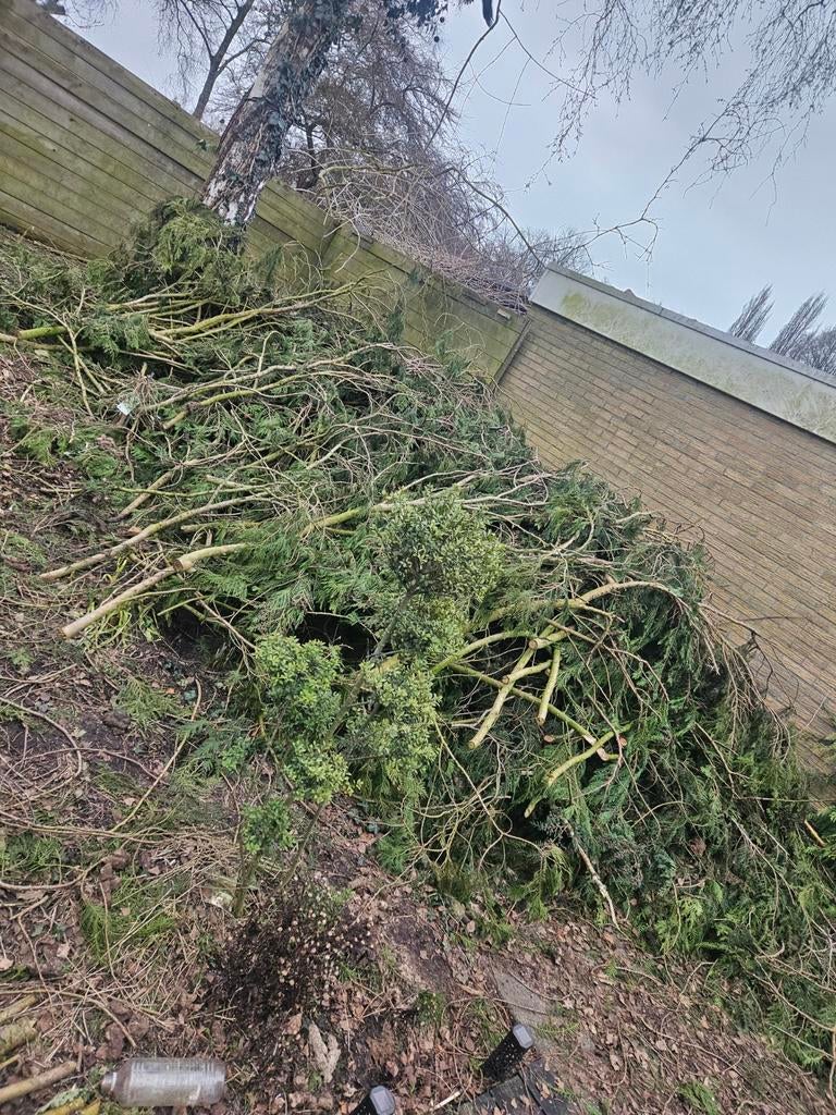 Takken voor paasvuur - gratis af te halen, Ophalen, Gebruikt, Overige typen