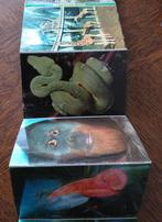 Rotterdam  - Diergaarde Blijdorp serie kleine kaartjes, Verzenden, Ongelopen, Zuid-Holland