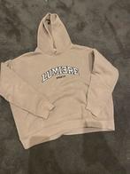 Lumiere trui, Beige, Ophalen of Verzenden, Zo goed als nieuw, Lumiere