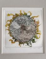 ingelijste ets bloem, zonnebloem gesigneerd en genummerd, Antiek en Kunst, Kunst | Etsen en Gravures, Ophalen of Verzenden