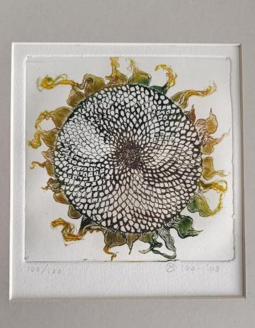 ingelijste ets bloem, zonnebloem gesigneerd en genummerd beschikbaar voor biedingen