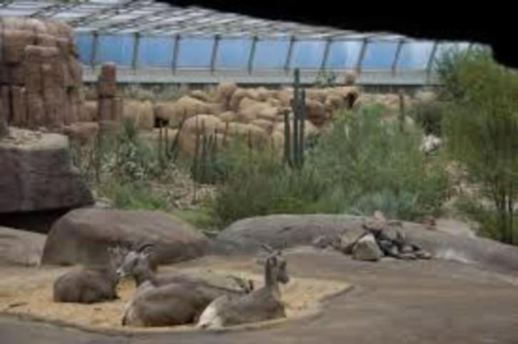 € 4,00 korting per persoon entree Burgers Zoo Arnhem, Tickets en Kaartjes, Recreatie | Dierentuinen, Drie personen of meer, Kortingskaart