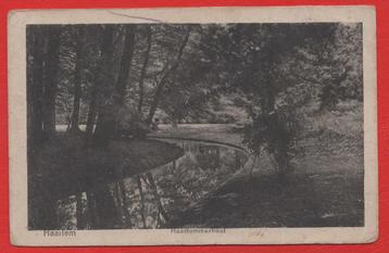 Haarlem - Haarlemmerhout - 1925  beschikbaar voor biedingen