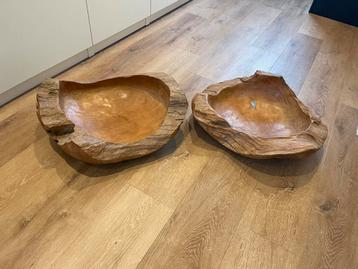 Boomstam Schalen - Nieuw! beschikbaar voor biedingen