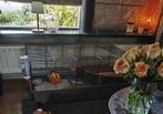 Cavia kooi, Dieren en Toebehoren, Kooi, 110 cm of meer, Zo goed als nieuw, Cavia