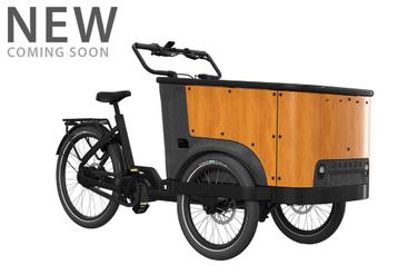 BUCKLE UP - E-BAKFIETS beschikbaar voor biedingen
