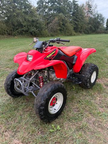 Honda quad 250cc TRX 250EX Sportrax 4 takt beschikbaar voor biedingen