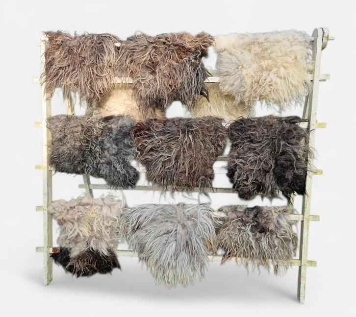 Biologische schapenvachten €45 per vacht, Huis en Inrichting, Woonaccessoires | Plaids en Woondekens, Ophalen of Verzenden