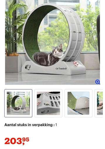 Kattenwiel NIEUW beschikbaar voor biedingen